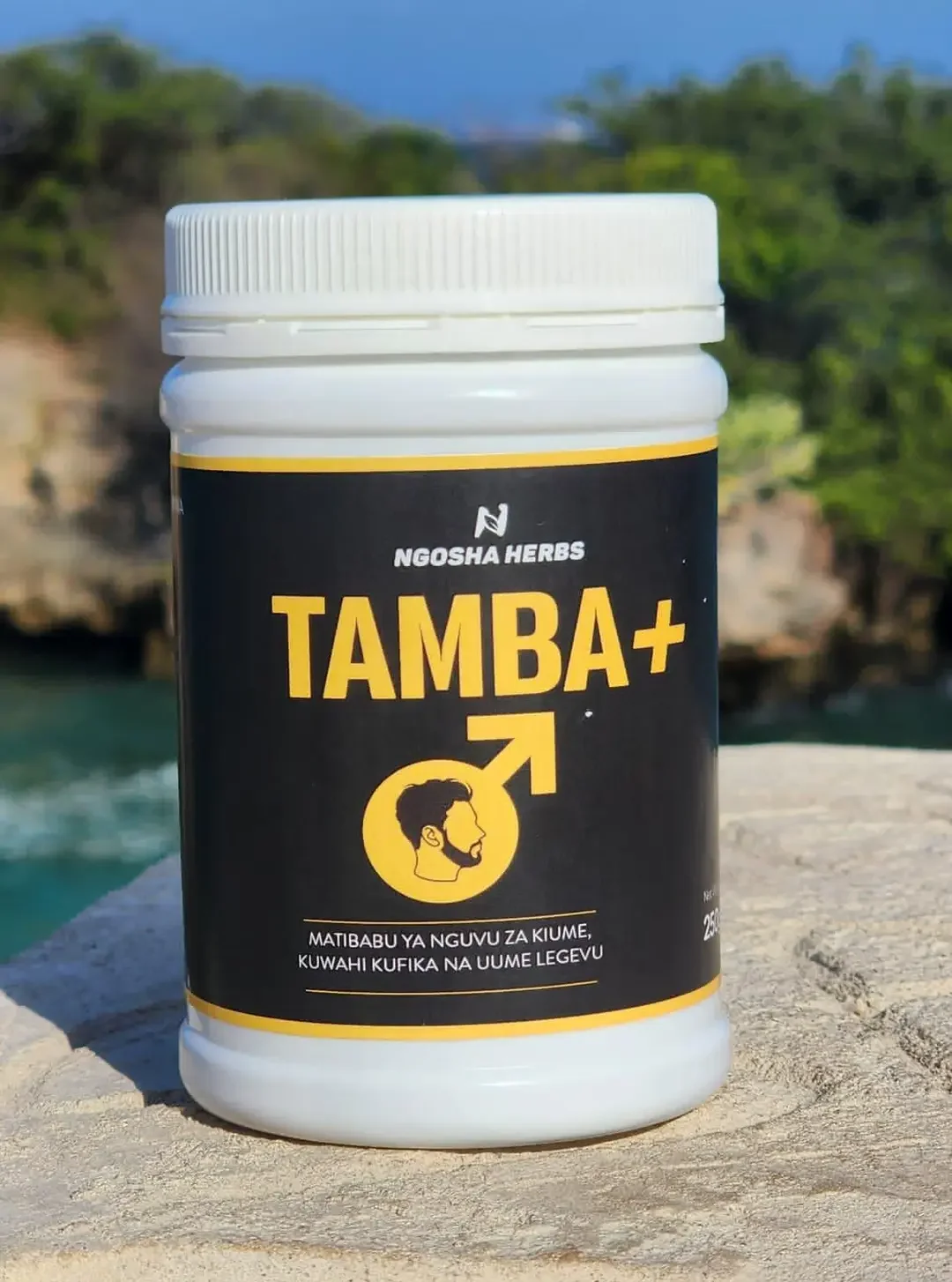 tambaplus